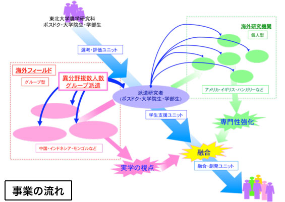 事業概要