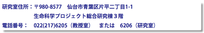 研究室住所：〒980-8577　仙台市青葉区片平二丁目1-1 生命科学プロジェクト総合研究棟３階 電話番号：　022(217)6205（教授室）　または　6206（研究室）