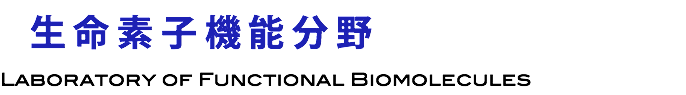  生 命 素 子 機 能 分 野 Laboratory of Functional Biomolecules