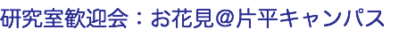研究室歓迎会：お花見＠片平キャンパス