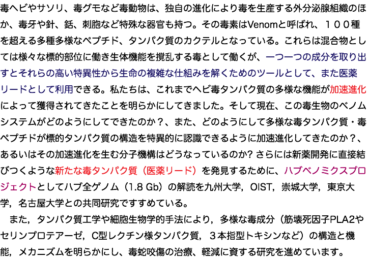 毒ヘビやサソリ、毒グモなど毒動物は、独自の進化により毒を生産する外分泌腺組織のほか、毒牙や針、銛、刺胞など特殊な器官も持つ。その毒素はVenomと呼ばれ、１００種を超える多種多様なペプチド、タンパク質のカクテルとなっている。これらは混合物としては様々な標的部位に働き生体機能を撹乱する毒として働くが、一つ一つの成分を取り出すとそれらの高い特異性から生命の複雑な仕組みを解くためのツールとして、また医薬リードとして利用できる。私たちは、これまでヘビ毒タンパク質の多様な機能が加速進化によって獲得されてきたことを明らかにしてきました。そして現在、この毒生物のベノムシステムがどのようにしてできたのか？、また、どのようにして多様な毒タンパク質・毒ペプチドが標的タンパク質の構造を特異的に認識できるように加速進化してきたのか？、あるいはその加速進化を生む分子機構はどうなっているのか? さらには新薬開発に直接結びつくような新たな毒タンパク質（医薬リード）を発見するために、ハブベノミクスプロジェクトとしてハブ全ゲノム（1.8 Gb）の解読を九州大学，OIST，崇城大学，東京大学，名古屋大学との共同研究ですすめている。 また，タンパク質工学や細胞生物学的手法により，多様な毒成分（筋壊死因子PLA2やセリンプロテアーゼ，C型レクチン様タンパク質，３本指型トキシンなど）の構造と機能，メカニズムを明らかにし、毒蛇咬傷の治療、軽減に資する研究を進めています。