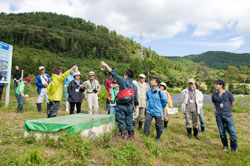 人工湿地