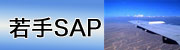 若手大航海SAP