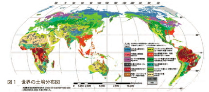図１：世界の土壌分布図