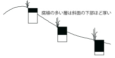 図３＋：斜面の土の模式図