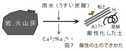 図７：酸性の土のできかた