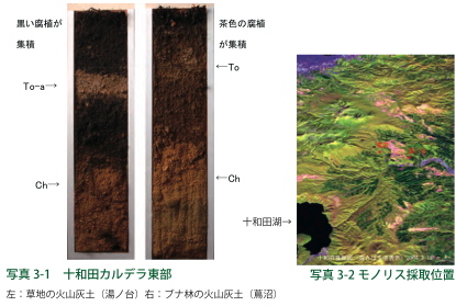 写真３：十和田カルデラ東部のモノリス