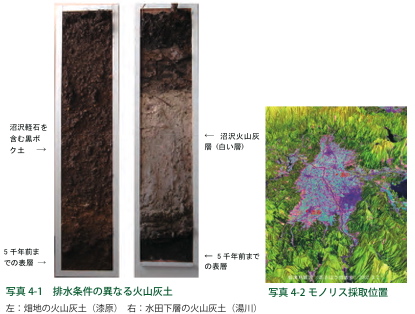 写真４：排水条件の異なる火山灰土のモノリス