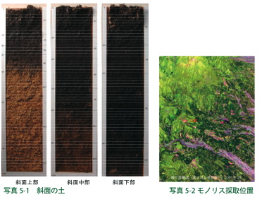 写真５：斜面の土のモノリス