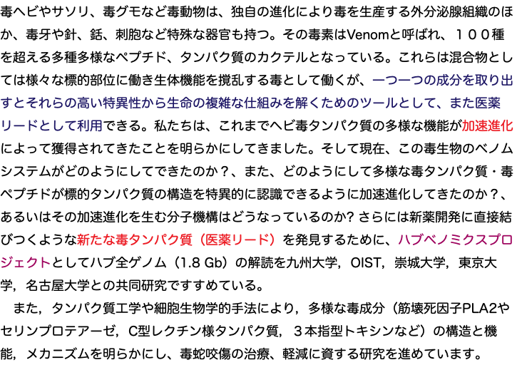 毒ヘビやサソリ、毒グモなど毒動物は、独自の進化により毒を生産する外分泌腺組織のほか、毒牙や針、銛、刺胞など特殊な器官も持つ。その毒素はVenomと呼ばれ、１００種を超える多種多様なペプチド、タンパク質のカクテルとなっている。これらは混合物としては様々な標的部位に働き生体機能を撹乱する毒として働くが、一つ一つの成分を取り出すとそれらの高い特異性から生命の複雑な仕組みを解くためのツールとして、また医薬リードとして利用できる。私たちは、これまでヘビ毒タンパク質の多様な機能が加速進化によって獲得されてきたことを明らかにしてきました。そして現在、この毒生物のベノムシステムがどのようにしてできたのか？、また、どのようにして多様な毒タンパク質・毒ペプチドが標的タンパク質の構造を特異的に認識できるように加速進化してきたのか？、あるいはその加速進化を生む分子機構はどうなっているのか? さらには新薬開発に直接結びつくような新たな毒タンパク質（医薬リード）を発見するために、ハブベノミクスプロジェクトとしてハブ全ゲノム（1.8 Gb）の解読を九州大学，OIST，崇城大学，東京大学，名古屋大学との共同研究ですすめている。 また，タンパク質工学や細胞生物学的手法により，多様な毒成分（筋壊死因子PLA2やセリンプロテアーゼ，C型レクチン様タンパク質，３本指型トキシンなど）の構造と機能，メカニズムを明らかにし、毒蛇咬傷の治療、軽減に資する研究を進めています。