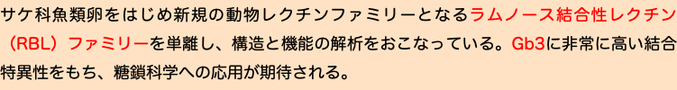 サケ科魚類卵をはじめ新規の動物レクチンファミリーとなるラムノース結合性レクチン（RBL）ファミリーを単離し、構造と機能の解析をおこなっている。Gb3に非常に高い結合特異性をもち、糖鎖科学への応用が期待される。