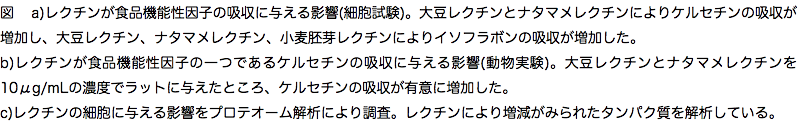 図　a)レクチンが食品機能性因子の吸収に与える影響(細胞試験)。大豆レクチンとナタマメレクチンによりケルセチンの吸収が増加し、大豆レクチン、ナタマメレクチン、小麦胚芽レクチンによりイソフラボンの吸収が増加した。 b)レクチンが食品機能性因子の一つであるケルセチンの吸収に与える影響(動物実験)。大豆レクチンとナタマメレクチンを10μg/mLの濃度でラットに与えたところ、ケルセチンの吸収が有意に増加した。 c)レクチンの細胞に与える影響をプロテオーム解析により調査。レクチンにより増減がみられたタンパク質を解析している。