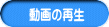 動画の再生