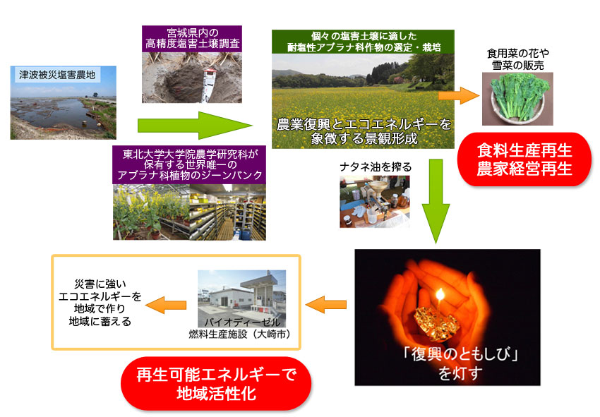 概要図