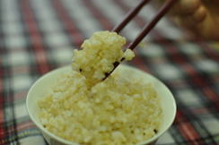 炊き立てごはん(川渡米)の試食会