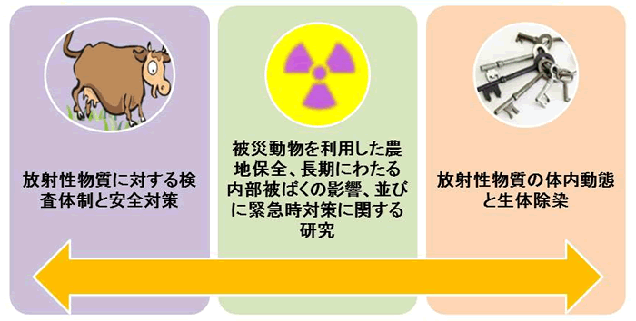 放射性物質動態学についての図