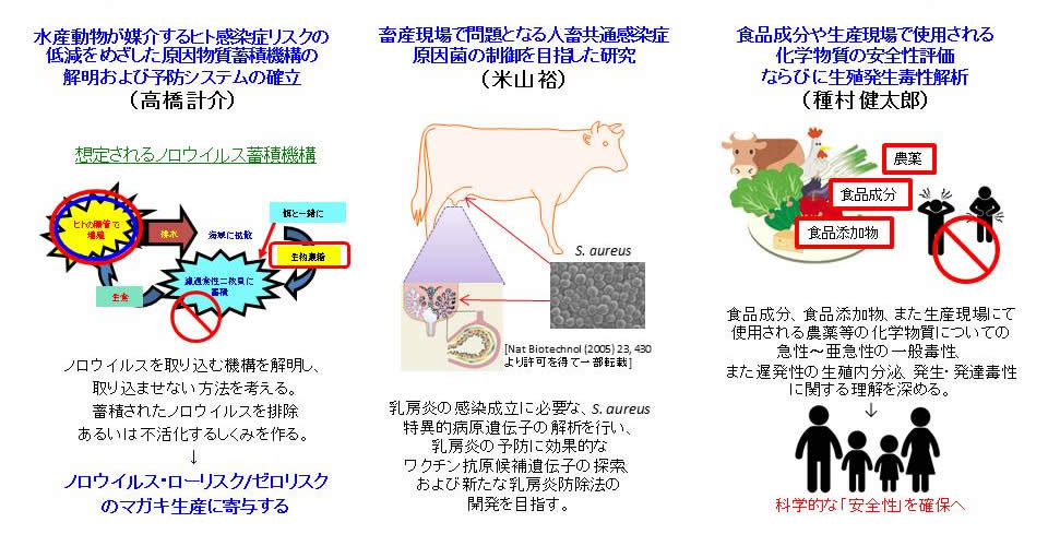 病原微生物・毒素ならびに関連化学物質の感染性および毒性評価とリスク軽減による安全性確保の説明図