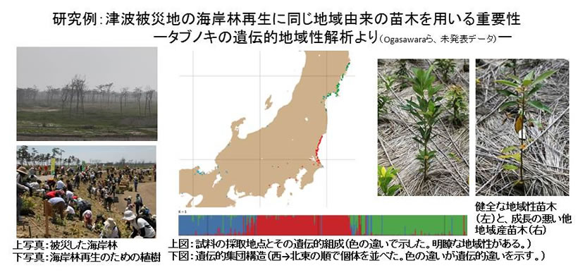 地域の生物・生態系のもつ能力を最大限に活かす