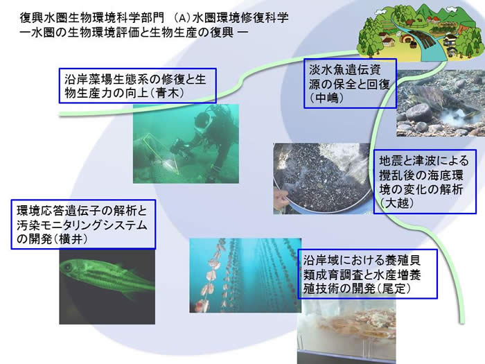 水圏の生物環境評価と生物生産の復興の図