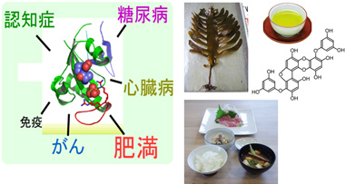 健やかで幸せな長寿のイメージ図