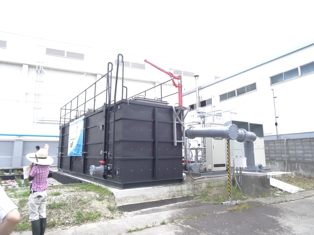 実習地での活動の様子