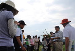 水田実習　担当教員：伊藤豊彰 准教授