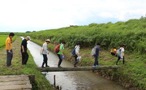 水田沿いに歩き、丸太橋（ここも歴史を感じます）を恐る恐る渡っていくと・・・