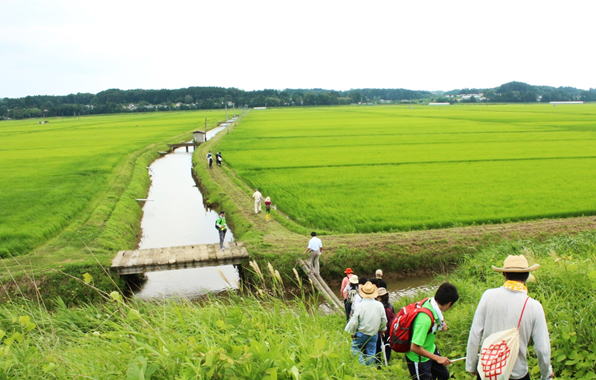 この蕪栗沼付近一帯の環境保全にも「ふゆみずたんぼ」は貢献しております