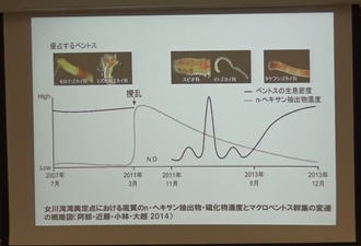 米澤千夏 准教授（資源循環エネルギー科学）