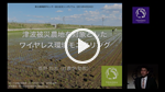『津波被災農地を対象としたワイヤレス環境モニタリング』