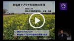 『耐塩性アブラナ科植物の育種』