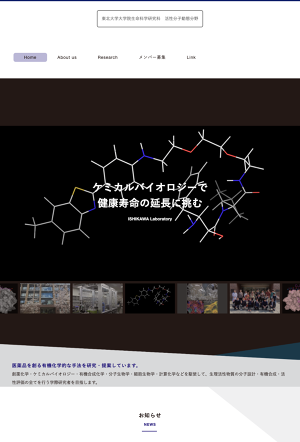 研究概要 | 活性分子動態分野