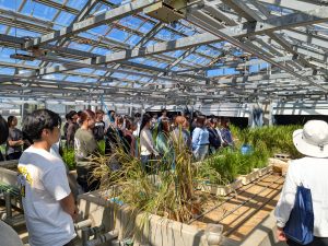 東北大学 理系 理・医・歯・薬・工・農学部 2013 東北大学 理系 理・医・歯・薬・工・農学部 2013 東北大学 理系 理・医