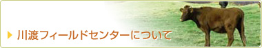 川渡フィールドセンターについて