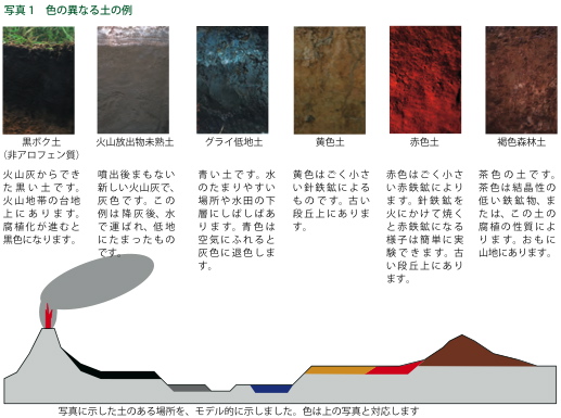 土壌立地学分野 企画展解説 2 いろいろな土